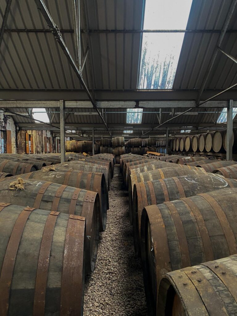 Best Glendronach Whisky